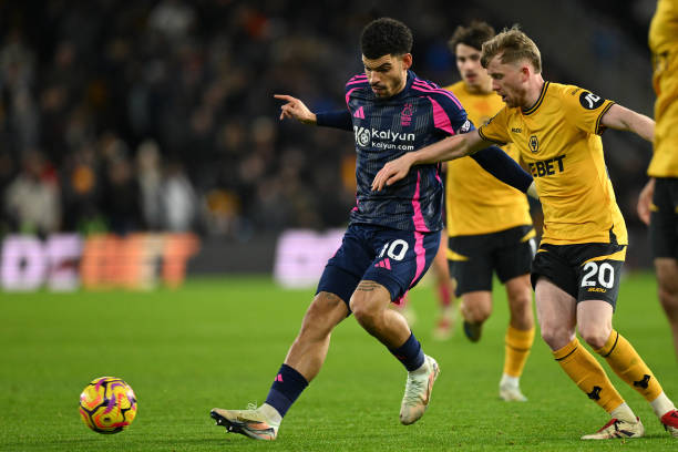 大的優勢 大的優勢